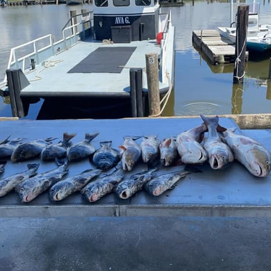 Fishing in Lafitte