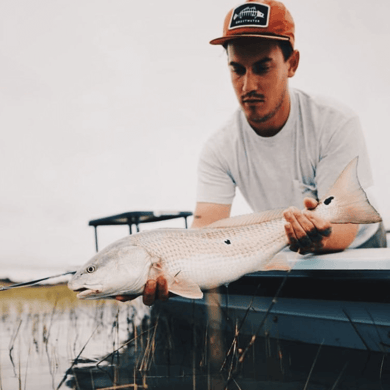 Fishing in Folly Beach