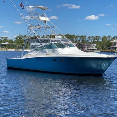 Fishing in Orange Beach