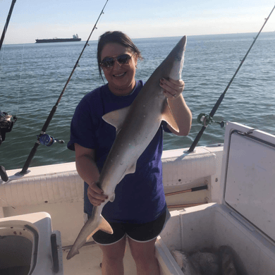 shark fishing trips galveston tx