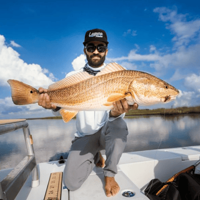 Redfish