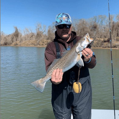 Fishing in Bay City