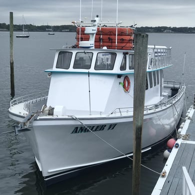 Fishing in Port Washington