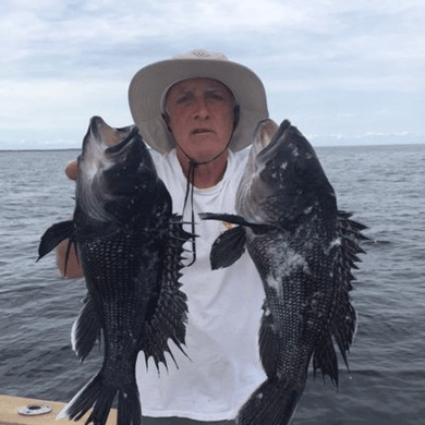 Fishing in Hampton Bays
