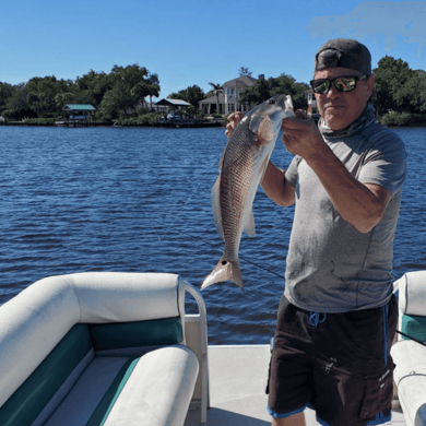 Fishing in Tarpon Springs