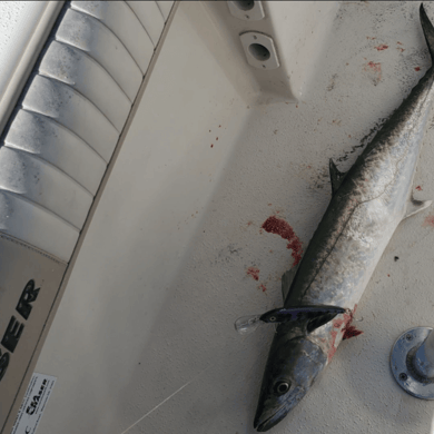 Fishing in Tarpon Springs