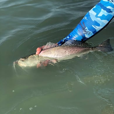 Fishing in Corpus Christi