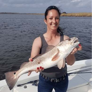 Fishing in Sulphur