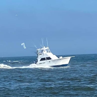 Ocean City