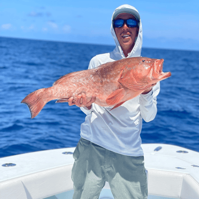 Fishing in Treasure Island