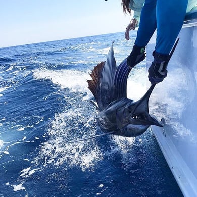 Fishing in Puerto Jiménez