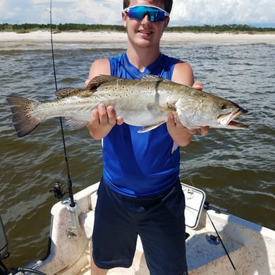 Gulf Shores