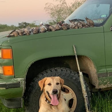 Hunting in Port Aransas