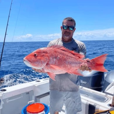 Fishing in St. Petersburg