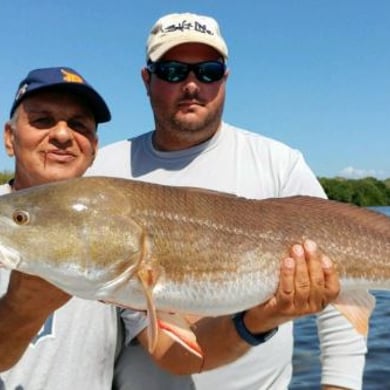 Fishing in Tampa