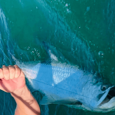 Fishing in Boca Grande