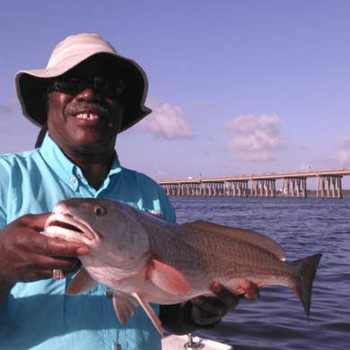 Fishing in D&#039;Iberville