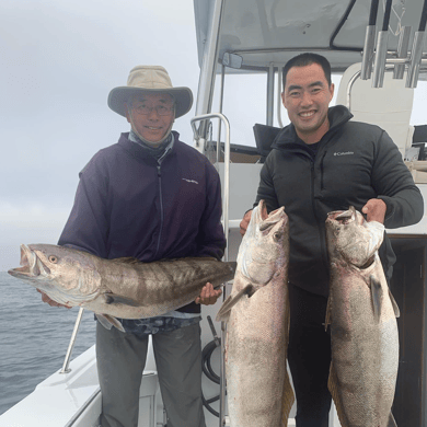 Fishing in Dana Point