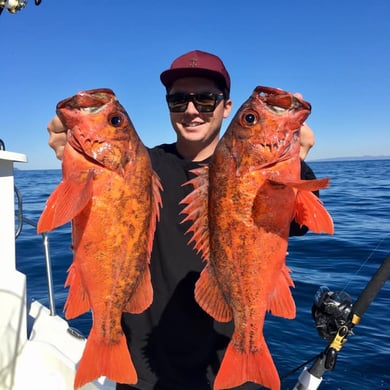 Fishing in Dana Point