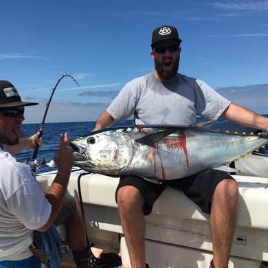 Fishing in Dana Point