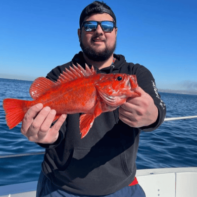 Fishing in San Diego