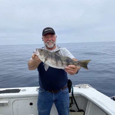 Fishing in Los Angeles