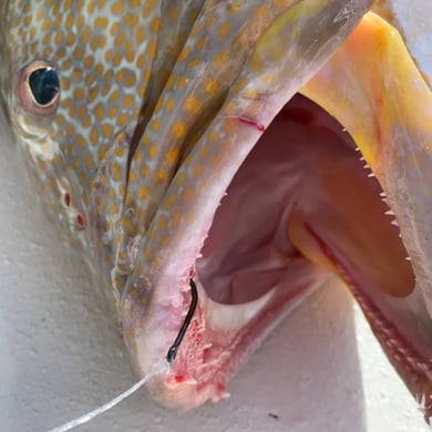 Fishing in Key West