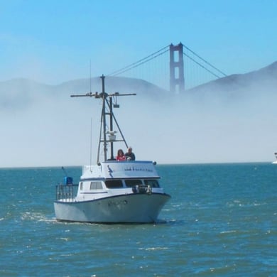 Fishing in San Francisco