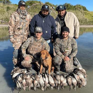 Hunting in South Padre Island