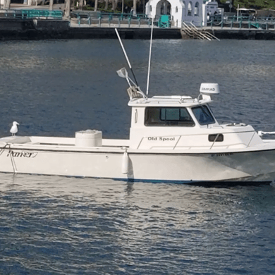 Fishing in Newport Beach