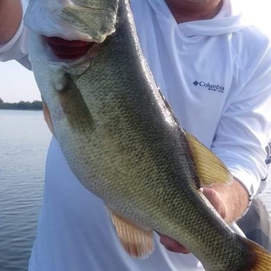 Two Lake Records in One Trip!! Decker Lake / Walter E. Long Reservoir  Fishing Guide Report