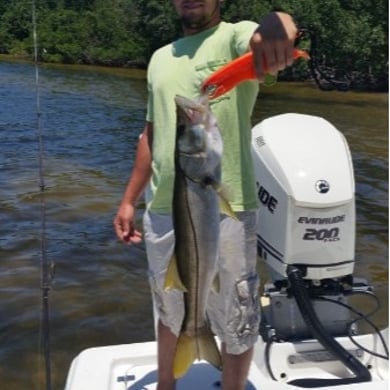 Crystal River