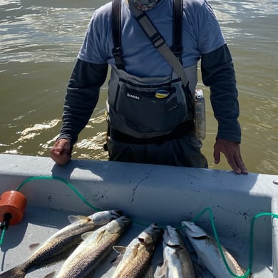 Fishing in Tiki Island