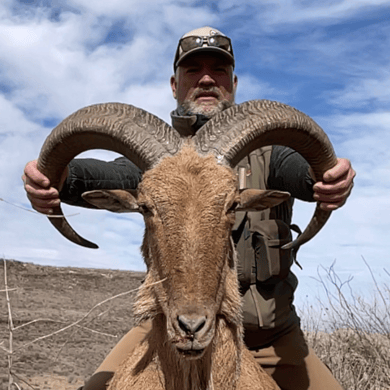 Hunting in Balmorhea