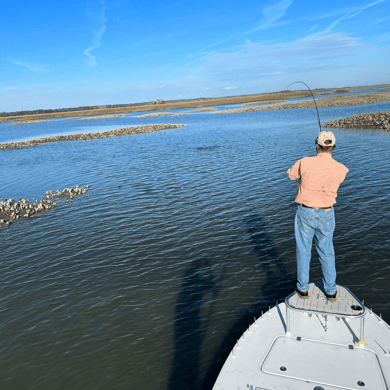 Fishing in Charleston