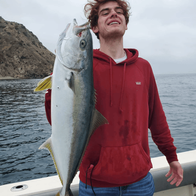 Fishing in Newport Beach