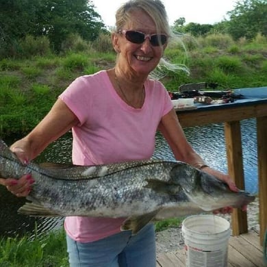 Fishing in Holmes Beach