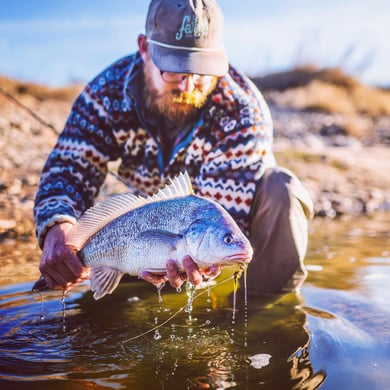 Freshwater Drum