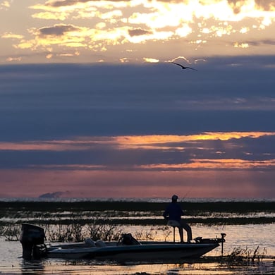 Fishing in Delray Beach