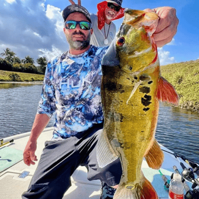 The 15 Best Peacock Bass Fishing Guides in Fort Lauderdale