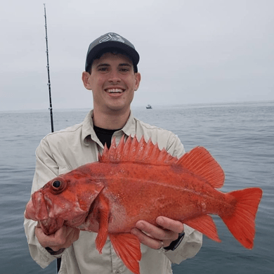 Fishing in San Diego