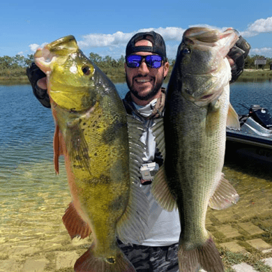 Fishing in Palmetto Bay