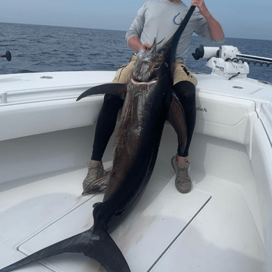 Fishing in Key West