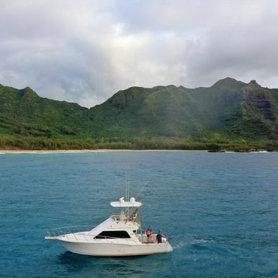 Fishing in Lihue