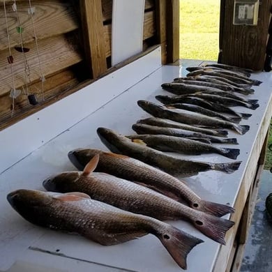 Fishing in Bolivar Peninsula