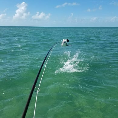 Fishing in Islamorada