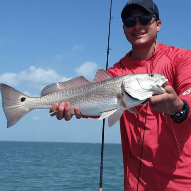 Fishing in South Padre Island