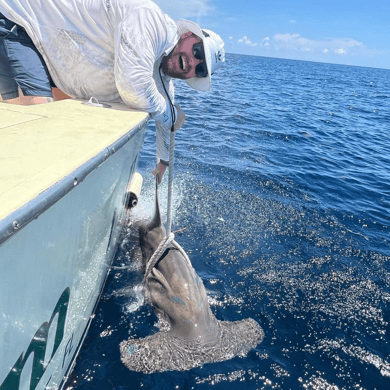 deep sea fishing tour sdv