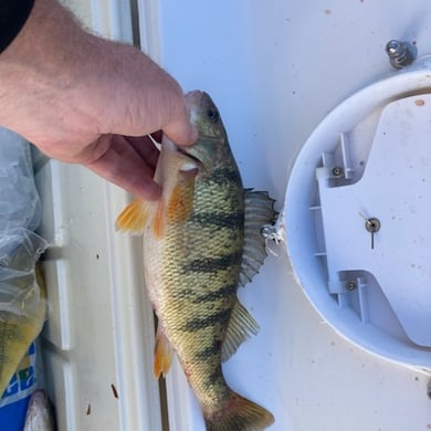 Fishing in Oak Harbor