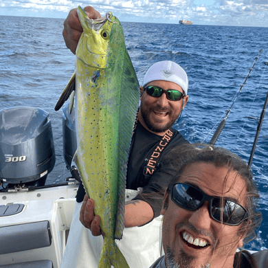 Fishing in Miami Beach